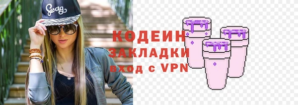 шишки Белокуриха